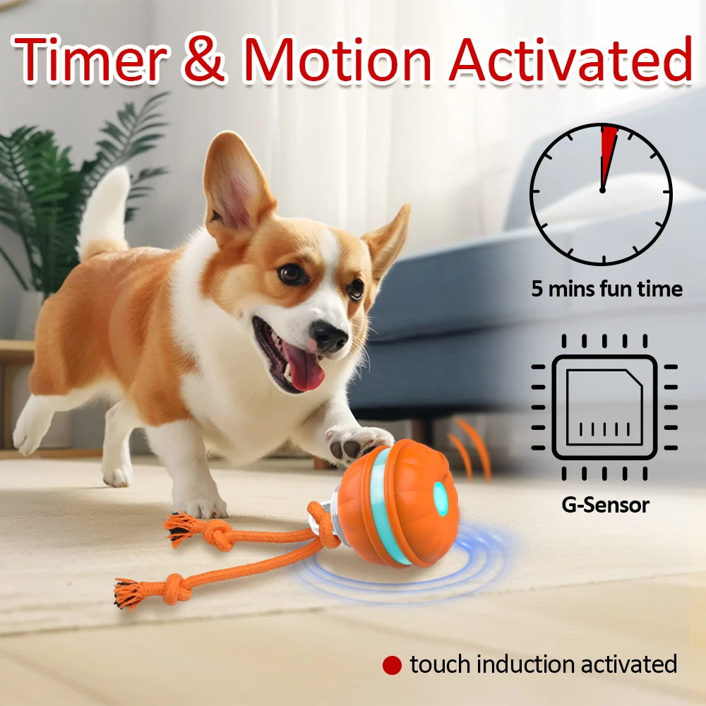 Interactive Dog Toy: Motion Activated