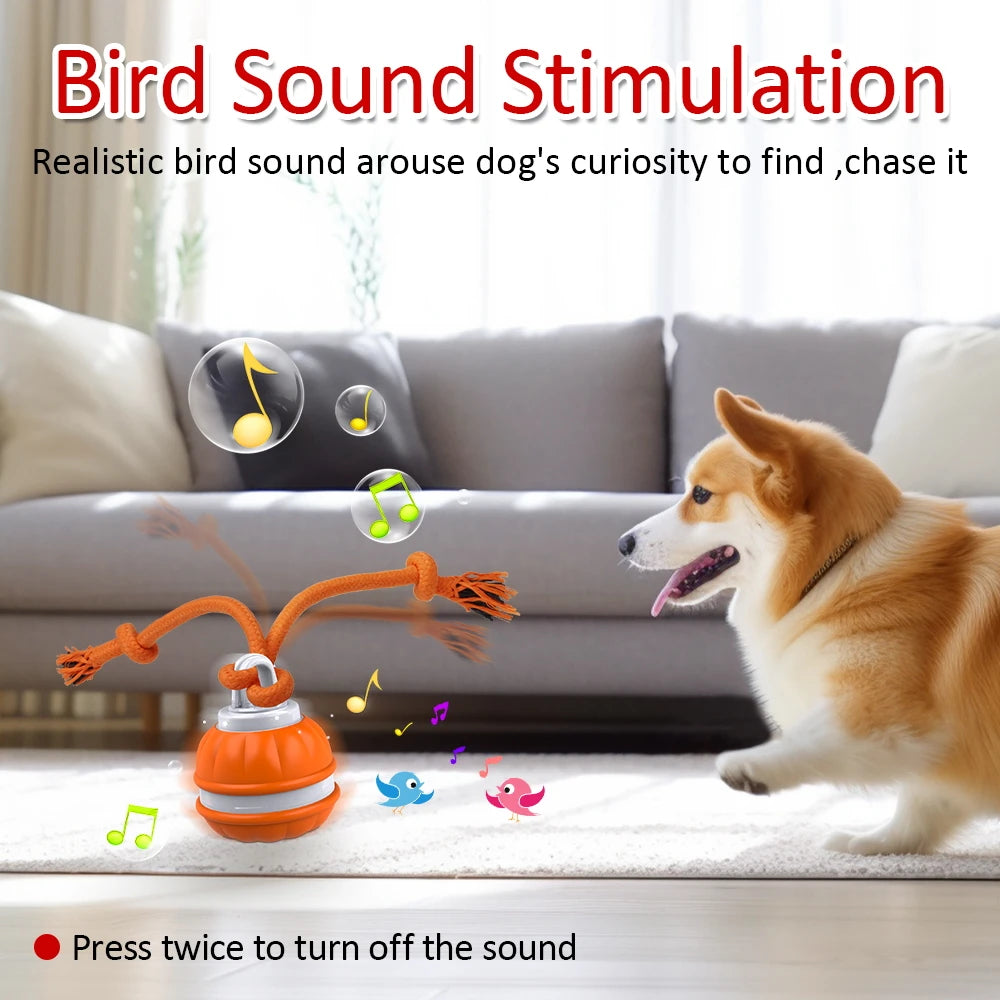 Interactive Dog Toy: Motion Activated