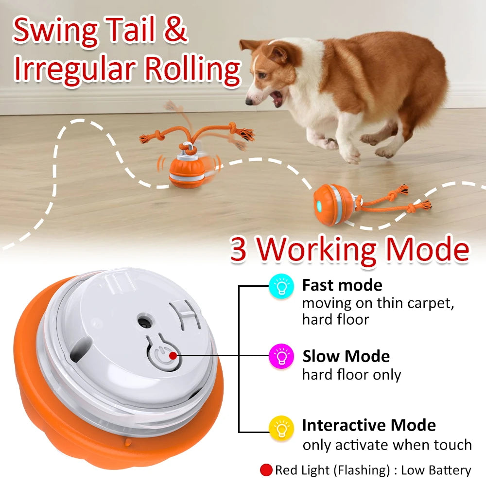 Interactive Dog Toy: Motion Activated